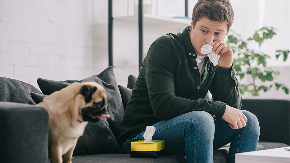 Purchasing an air purifier is one of the smartest approaches to boost your residence’s indoor air quality. Discover more about the three top solutions. 